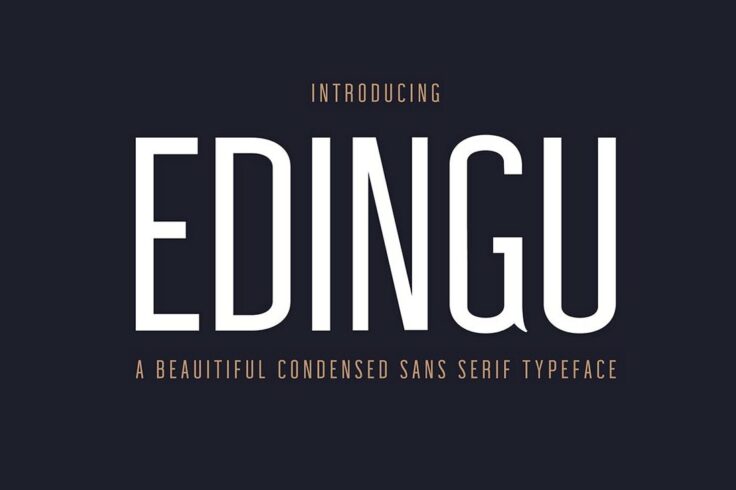 View Information about Edingu Condensed Sans Serif Font Family