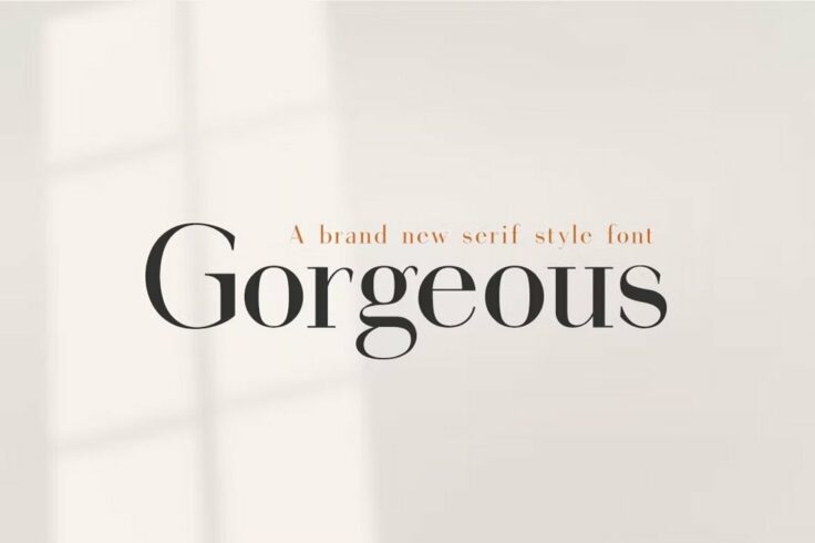 View Information about Gorgeous Clean Serif Font