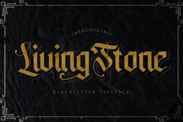 35+ Best Medieval Fonts in 2024